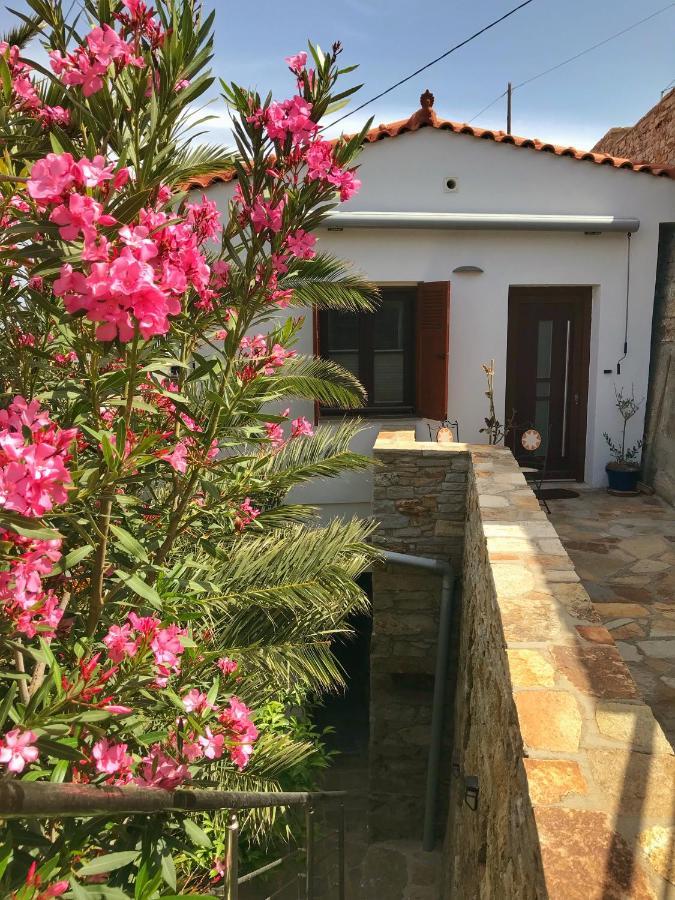 Astra-Ferienhaus Mit Grosser Dachterrasse Und Top-Ausstattung In Nas Armenistis  Eksteriør bilde